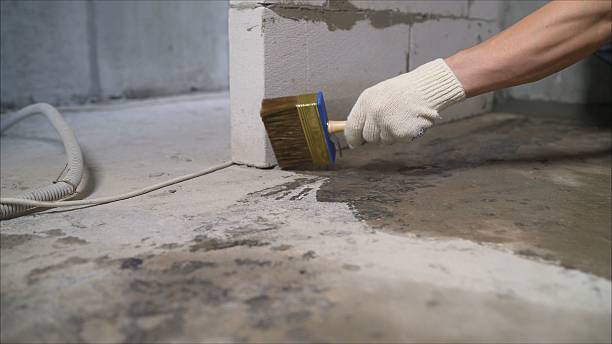 24/7 Emergency Exterior Waterproofing experts in Lexington, MN